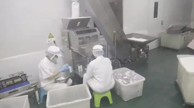 JoyJoy sugar beads production facility